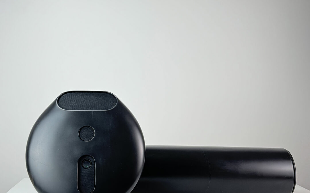 Lost bud (Black), 2024